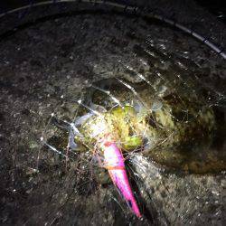 今日はいい天気